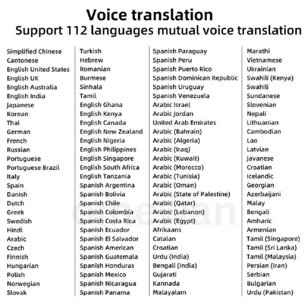 Translator Pen